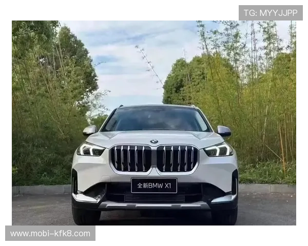 宝马：高性能与奢华兼备，满足不同用户的多样化需求