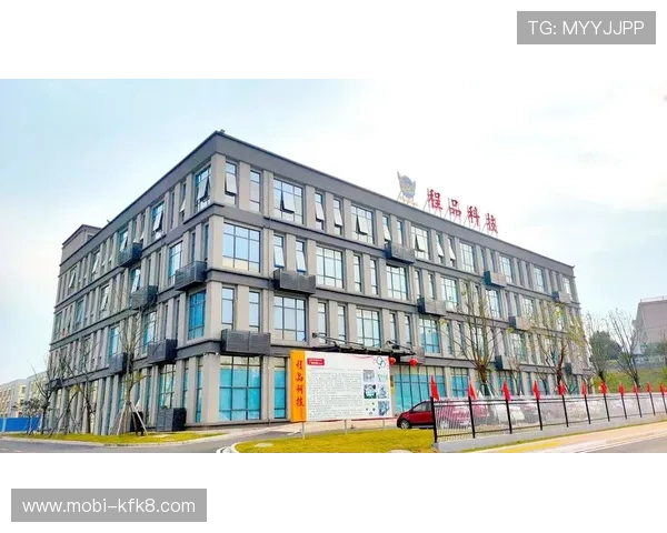 K8凯发在线官网的技术支持与系统稳定性保障措施详尽说明