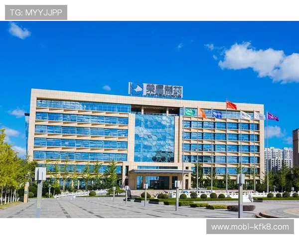 凯发K8国际开户指南全面解析新手快速注册攻略