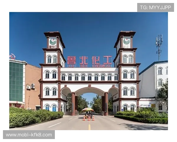 凯发集团网站官网：凯发集团官方网站的安全保障措施与用户隐私保护